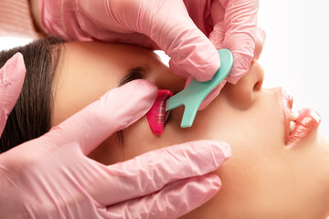 Make-up artist makes the procedure of lamination and dyeing of eyelashes to a beautiful woman in a...