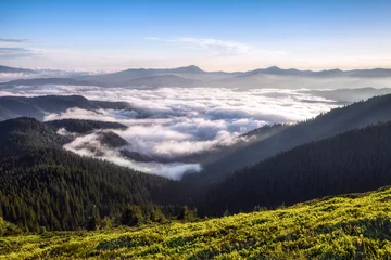 Foto op Aluminium Mountains landscape. Foggy morning. Fields and meadow are covered with morning fog. Forest of the pine trees. Natural scenery. © Vitalii_Mamchuk