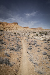 Dirt trail through desert terrain in spring in central Utah near Goblin Valley in a valley of red cliffs and mesas