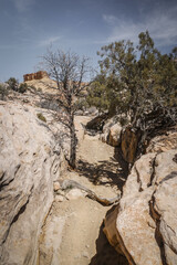 Sandy dirt trail through desert terrain lined with pine bushes and rock canyon walls in spring in...