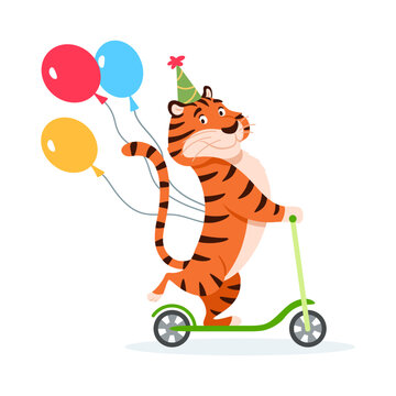 Happy cartoon tiger in Birthday hat rides a kick scooter. Holiday wild cat with colorful balloons isolated on white background. Adorable orange striped character. Animal vector illustration