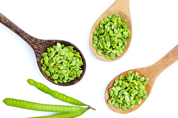 Leucaena leucocephala isolated seeds on white background