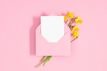 Open pink envelope with paper sheet and and yellow flowers of daffodils on isolated pastel pink background. Flat lay, top view, copy space