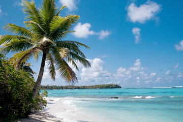 Fototapeta na wymiar Polynesian beach