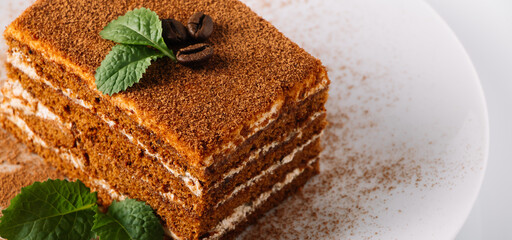 Tiramisu dessert decorated with mint on white plate.