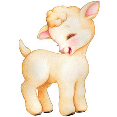 watercolor illustration of little lamb © Miss Helena
