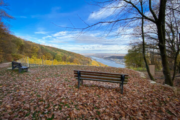 Bench at scenic viewpoint to River Rhine, Rheingau and Rheinhessen, Germany