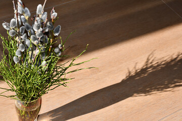 bouquet of pussy willow branch with fluffy catkins and greenery in a vase and its shadow on the background of a wooden table in sunny spring day