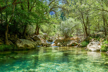 River passing in the Cerrada de Utrero in Sierra Cazorla, Segura y Las Villas Natural Park. Declared a Biosphere Reserve by UNESCO. Located in the province of Jaen, Andalusia, Spain - obrazy, fototapety, plakaty