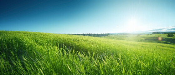 Fototapeta na wymiar Panoramic natural landscape of green rolling fields with grass against a blue sky.