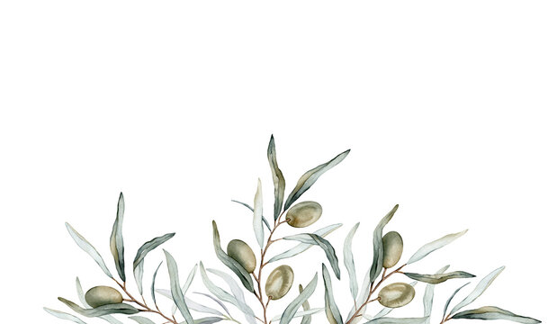 Watercolor Banner With Green Olive Leaves Branches.Watercolor Olive In Bouquet. Decorative Element For Greeting Card. Illustration