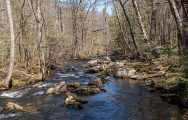 Fototapeta na wymiar willard brook on a spring afternoon