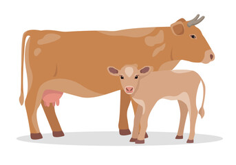 Red Cow and Calf. Baby cow with mother. Best Beef Cattle Breeds. Dairy cattle. Farm animal. Vector flat or cartoon illustration icon isolated on white backfround.