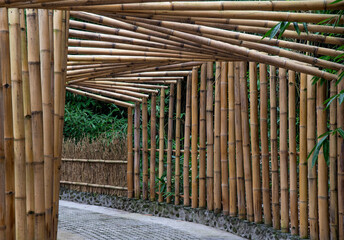Organic architecture bridge made with bamboo trees in natural landscape
