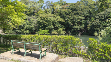 Fototapeta na wymiar 公園のベンチと池