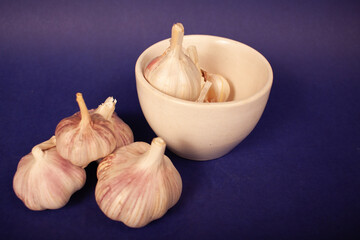 garlic on a blue background