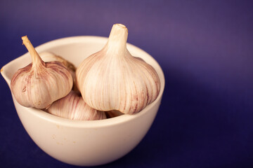 garlic on a blue background