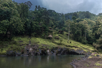 Obraz premium thatched huts in the middle of the rainforest in Costa Rica