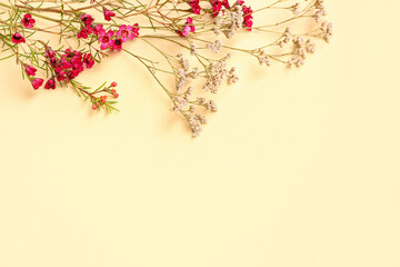 Beautiful gypsophila flowers on beige background