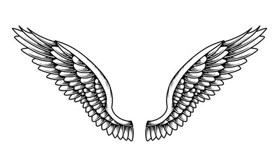 Vector angel wings tattoo design