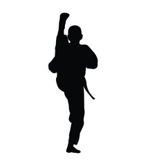 icon of man doing taekwondo kick vector