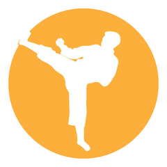 icon of man doing taekwondo kick vector