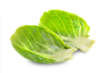 Fototapeta premium Leaves of fresh green brussels sprout isolated on white