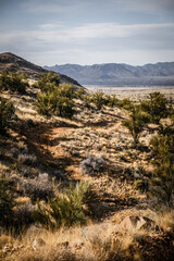 Fototapeta na wymiar Dirt trail winding across grassy rolling hills in Arizona desert near Kingman in Hualapai mountains
