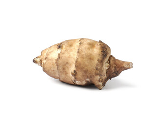 One raw Jerusalem artichoke isolated on white