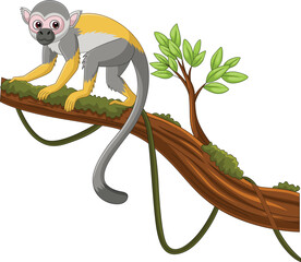 Cute capuchin monkey on a tree branch 