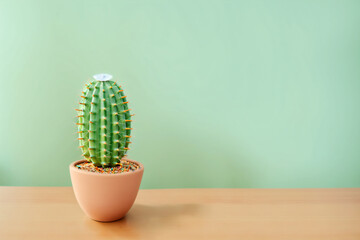 artistic showing of a cactus