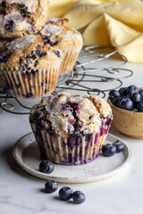 Blueberry muffin with fresh blueberries