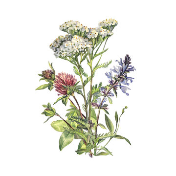 watercolor wildflowers bouquet white background clip art preview