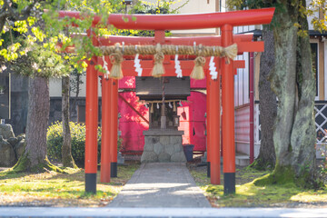 Fototapeta na wymiar 福井県堺市の国神神社周辺を散策する風景 Scenery of a walk around Kunigami Shrine in Sakai City, Fukui Prefecture