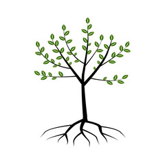 tree with roots. Oak tree. Vector illustration.