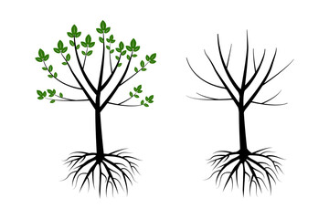 tree with roots. Oak tree. Vector illustration.