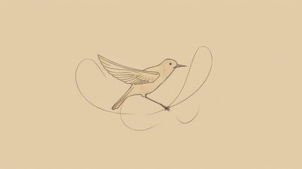 Minimalist bird line drawings wallpaper
