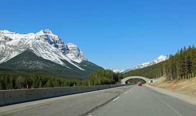 Overpass for wildlife, trans Canada hwy - Canada