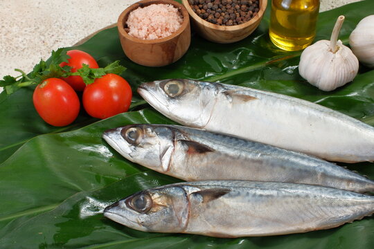Fresh sardines fish with ingredients ,Fresh seafood concept.