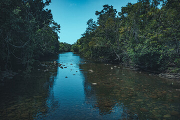 river in the forest , Cape Tribulation QLD Australia