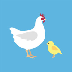 Vector flat hand drawn chicken and chick isolated on blue background