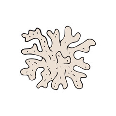 Vector hand drawn doodle sketch colored coral isolated on white background