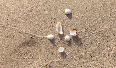 Natural sea background of beach sand with small shells. Ecological sea coast concept. Summer vacation at sea. Greece. Crete. Balos bay