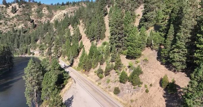 Drone view of evergreen forest on side of road