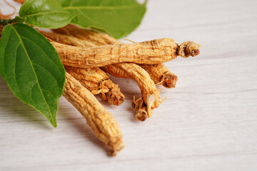 Ginseng roots and green leaf, healthy food.