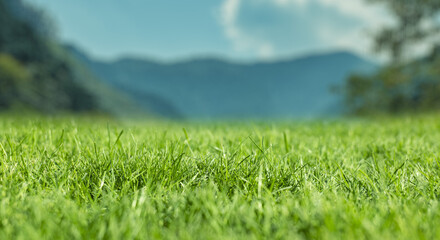 Fototapeta na wymiar 芝、草むらのローアングル　背景に初夏の山の自然の風景　ゴールデンウィーク・連休・祝日・旅行・観光のイメージ背景壁紙