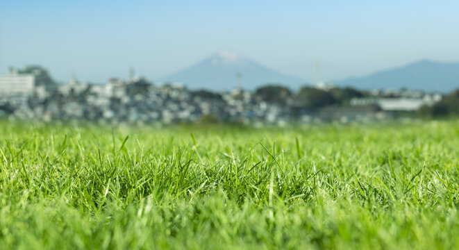 芝、草むらのローアングル　背景に初夏の山の自然の風景富士山　ゴールデンウィーク・連休・祝日・旅行・観光のイメージ背景壁紙
