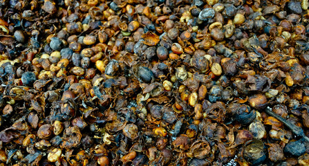 Coffee beans are dried through the process of drying in the sun