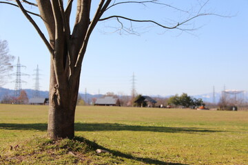 210411大朗小夏と西公園

山形市
西公園
桜