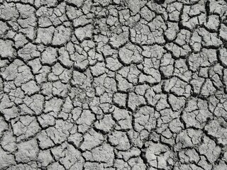 dry cracked earth in a drought